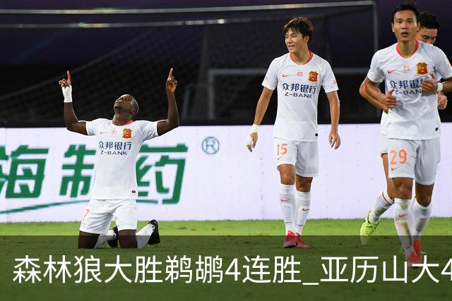 森林狼大胜鹈鹕4连胜 亚历山大43分雷霆克骑士