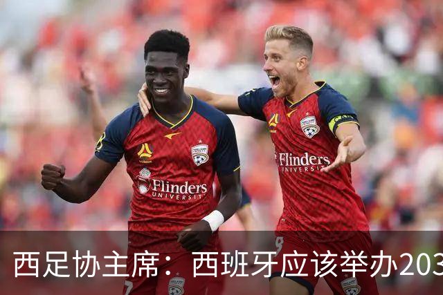 西足协主席：西班牙应该举办2030世界杯决赛，我们各方面条件最优